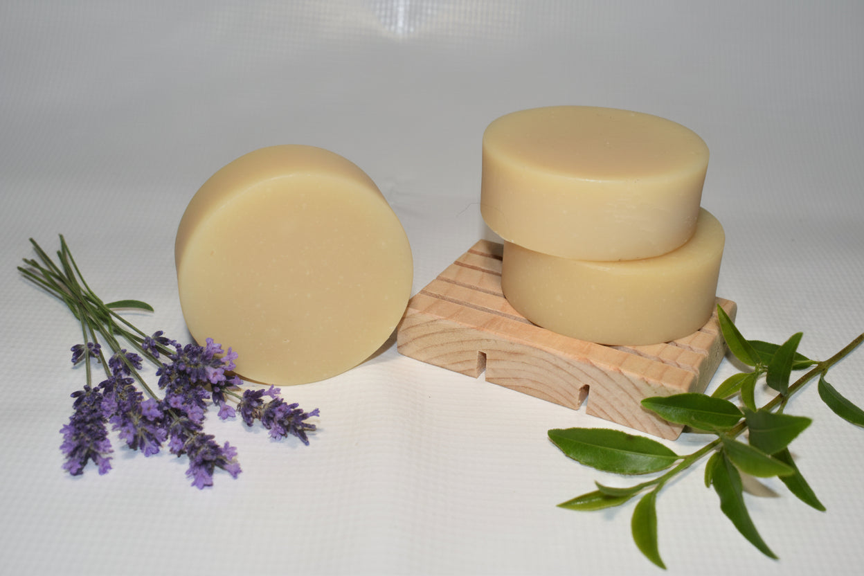 Lavender & Tea Tree Shampoo